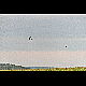 2018-08-15_2269_mazee.jpg