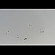 2018-08-18_2319_mazee.jpg