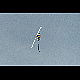 2018-10-13_3376_mazee.jpg