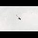 2019-06-10_4876_mazee.jpg
