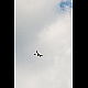 2020-05-30_6733_mazee.jpg