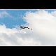 2020-06-20_6831_mazee.jpg