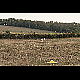 2020-09-20_7307_mazee.jpg
