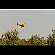 2020-09-22_7368_mazee.jpg