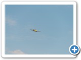 2020-05-16_6657_mazee