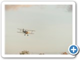 2020-11-12_7487_mazee