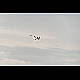 2021-07-03_mazee_8253.jpg