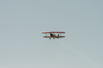 2025_04_04_mazee_3765.jpg
